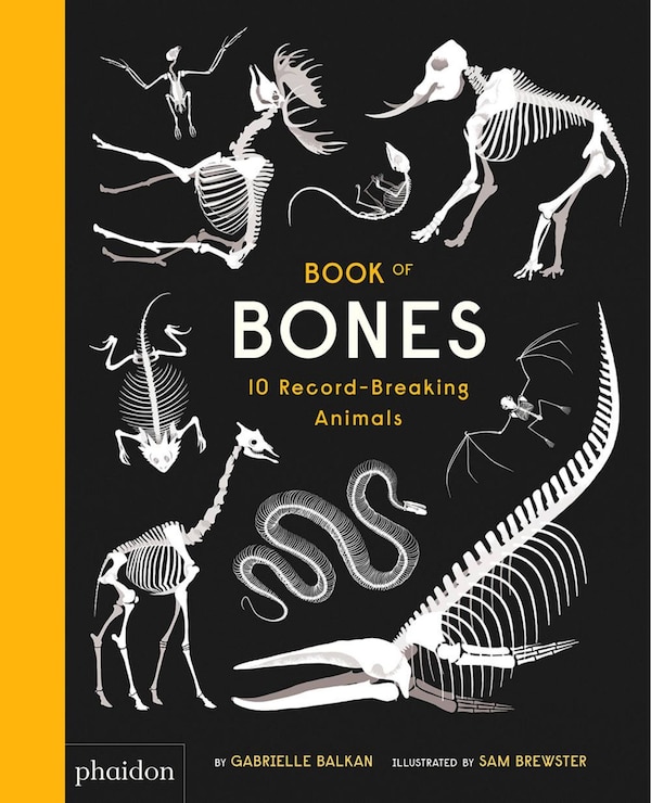 Book Of Bones by Gabrielle Balkan, Hardcover | Indigo Chapters