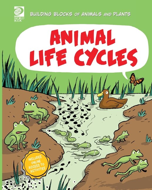 Animal Life Cycles by Joseph Midthun, Paperback | Indigo Chapters