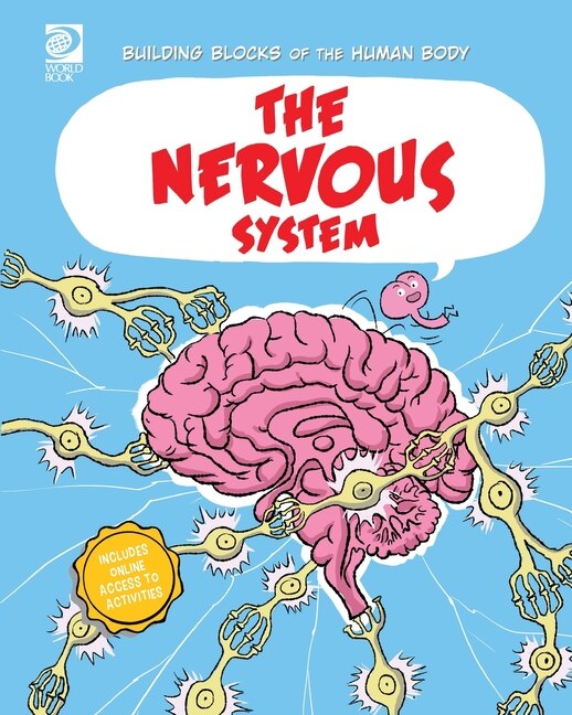 The Nervous System by Joseph Midthun, Paperback | Indigo Chapters