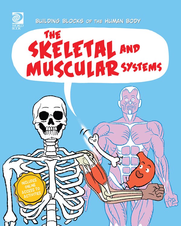 The Skeletal and Muscular Systems by Joseph Midthun, Paperback | Indigo Chapters