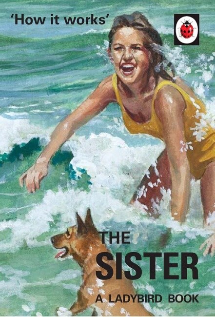 How It Works: The Sister by Jason Hazeley, Hardcover | Indigo Chapters