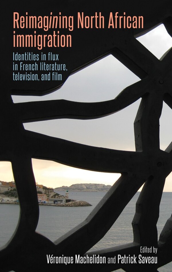 Reimagining North African immigration by Véronique Machelidon, Hardcover | Indigo Chapters