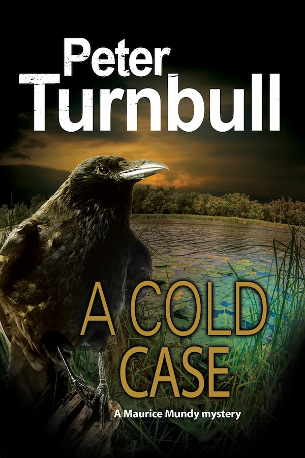 Cold Case A by Peter Turnbull, Paper over Board | Indigo Chapters