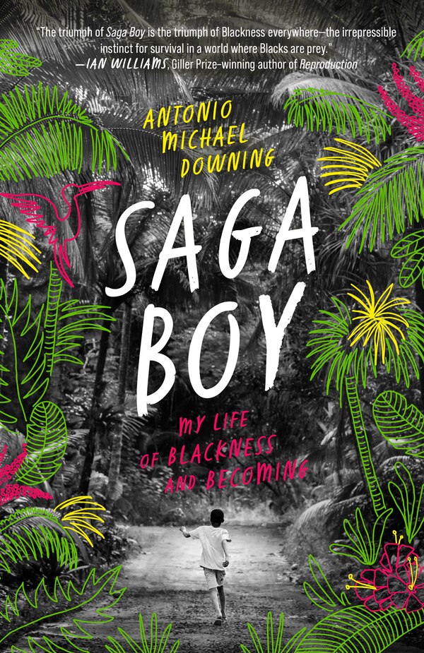 Saga Boy by Antonio Michael Downing, Paperback | Indigo Chapters