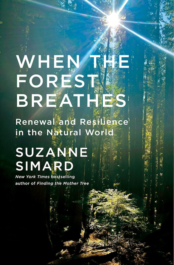 When the Forest Breathes by Suzanne Simard, Hardcover | Indigo Chapters