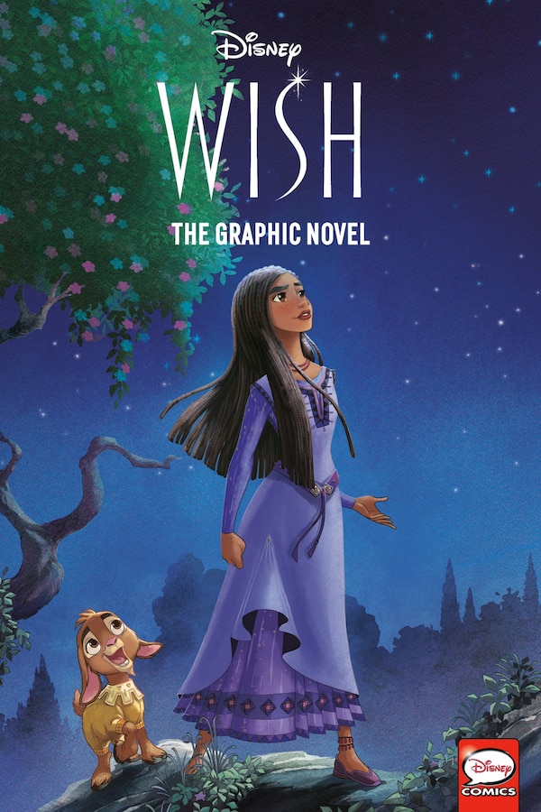 Disney Wish: The Graphic Novel by Rh Disney, Paperback | Indigo Chapters