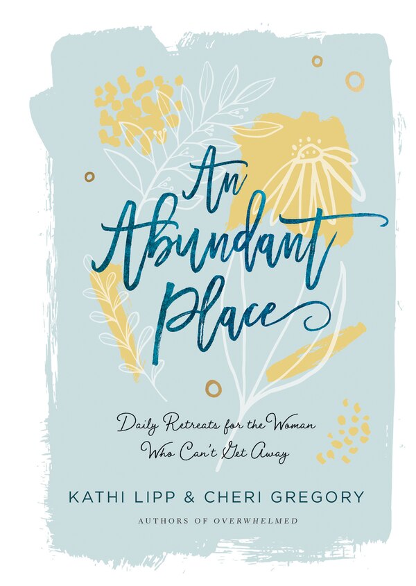 An Abundant Place by Kathi Lipp, Hardcover | Indigo Chapters