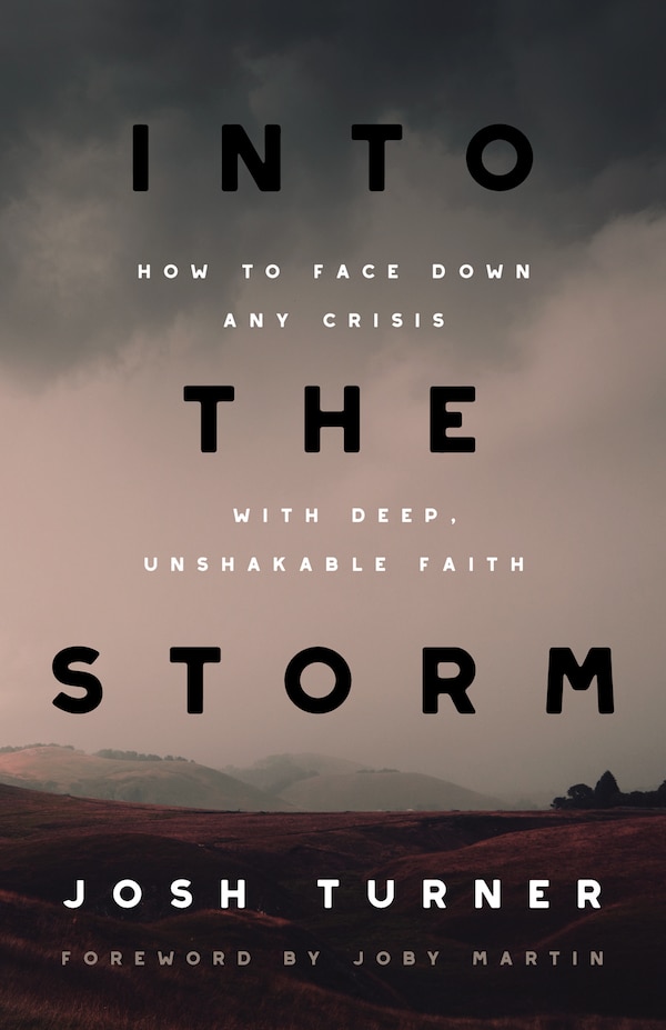 Into the Storm by Josh Turner, Paperback | Indigo Chapters