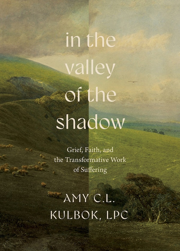 In the Valley of the Shadow by Amy C.L. Kulbok, Hardcover | Indigo Chapters
