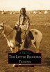 The Little Bighorn Tiospaye by Kenneth D. Shields Jr., Paperback | Indigo Chapters