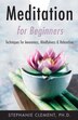 Meditation for Beginners by Stephanie Clement, Paperback | Indigo Chapters