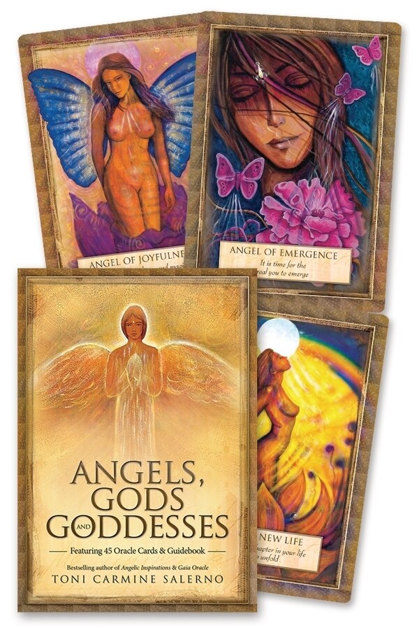 Angels Gods Goddesses by Toni Carmine Salerno, Paperback | Indigo Chapters
