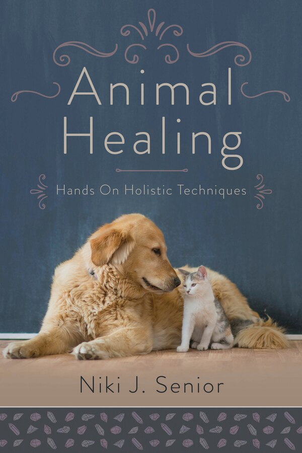 Animal Healing by Niki J. Senior, Paperback | Indigo Chapters