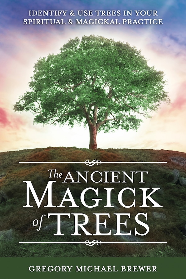 The Ancient Magick Of Trees by Gregory Michael Brewer, Paperback | Indigo Chapters