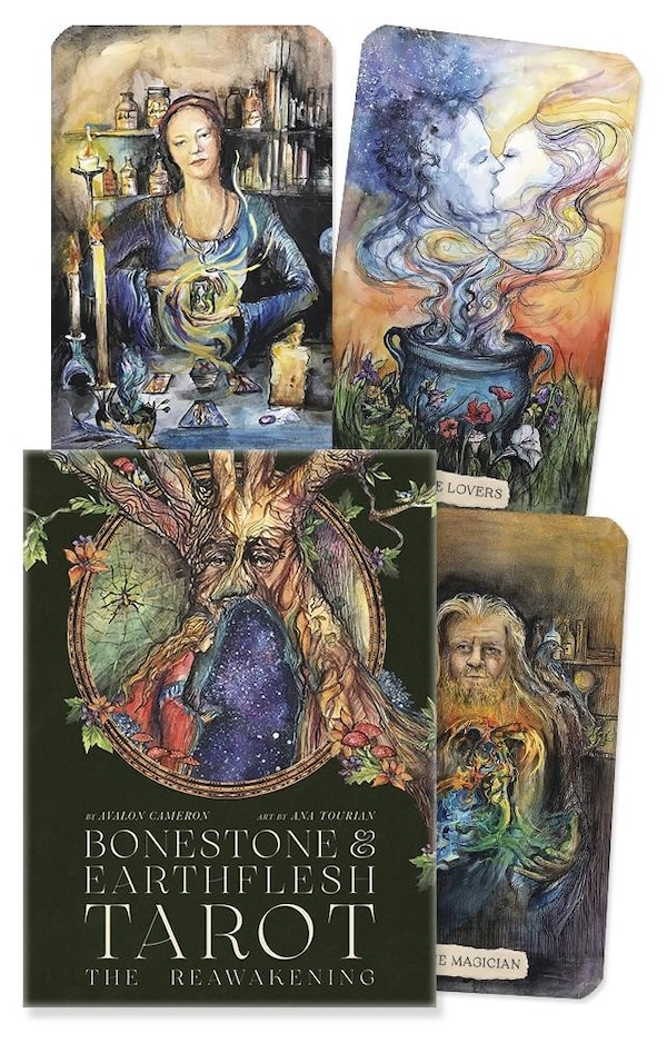 Bonestone & Earthflesh Tarot by Avalon Cameron, Paperback | Indigo Chapters
