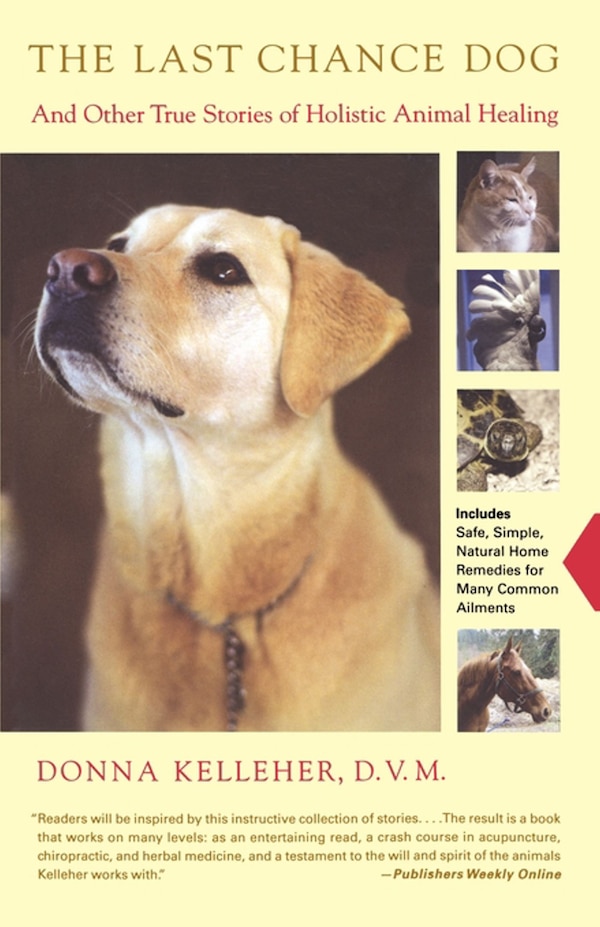 The Last Chance Dog by Donna Kelleher, Paperback | Indigo Chapters