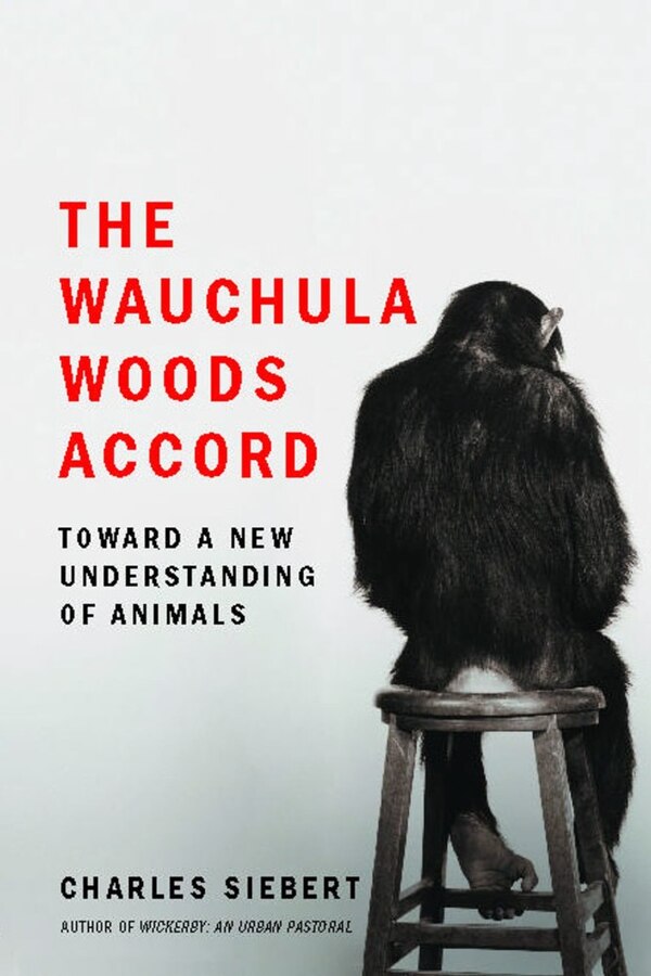 The Wauchula Woods Accord by Charles Siebert, Paperback | Indigo Chapters