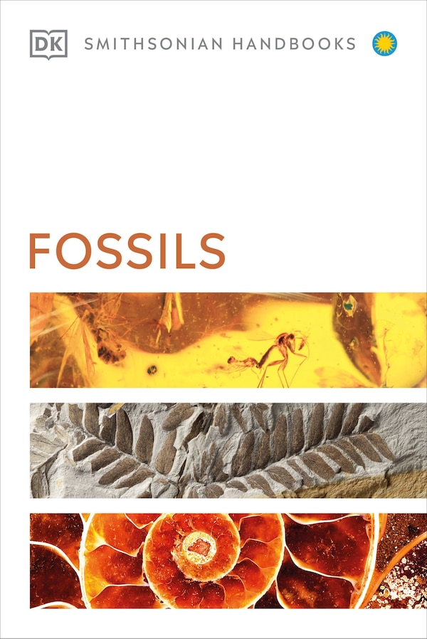 Fossils by Dk, Paperback | Indigo Chapters