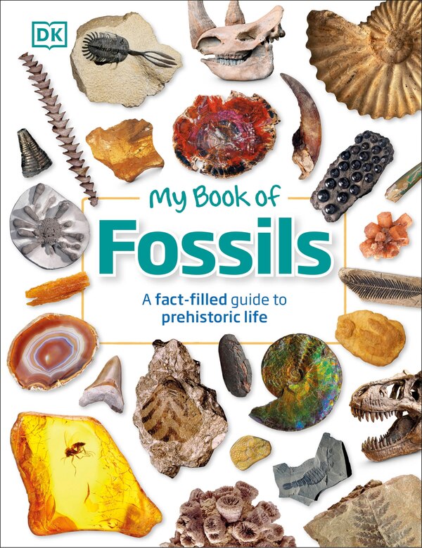 My Book Of Fossils by Dk, Hardcover | Indigo Chapters