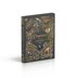 Dinosaurs And Other Prehistoric Life Slipcase by Anusuya Chinsamy-turan, Boxed Set/Slip Case/Casebound | Indigo Chapters