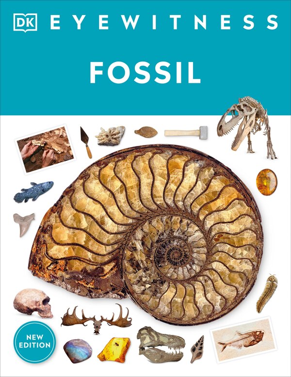 Eyewitness Fossil by Dk, Paperback | Indigo Chapters