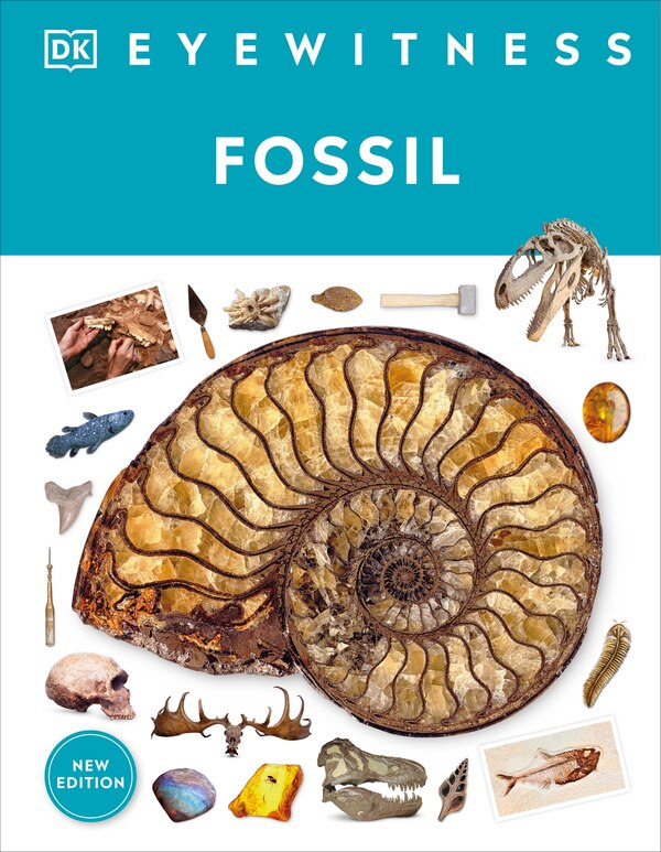 Eyewitness Fossil by Dk, Hardcover | Indigo Chapters