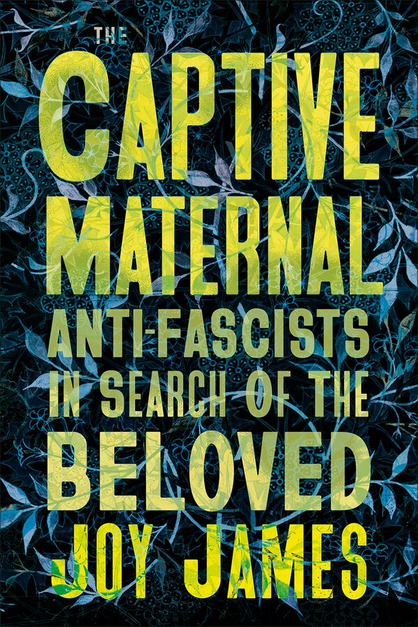 The Captive Maternal by Joy James, Paperback | Indigo Chapters