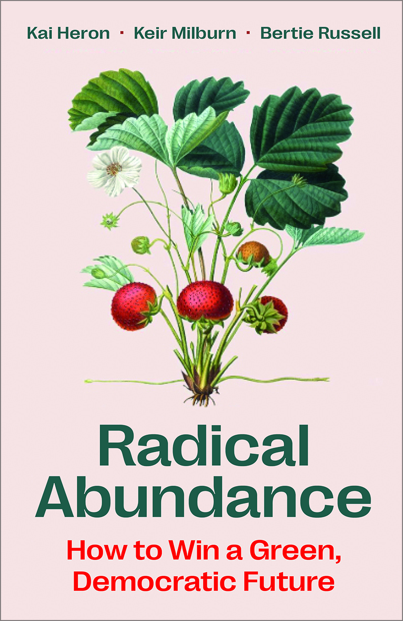 Radical Abundance by Kai Heron, Paperback | Indigo Chapters