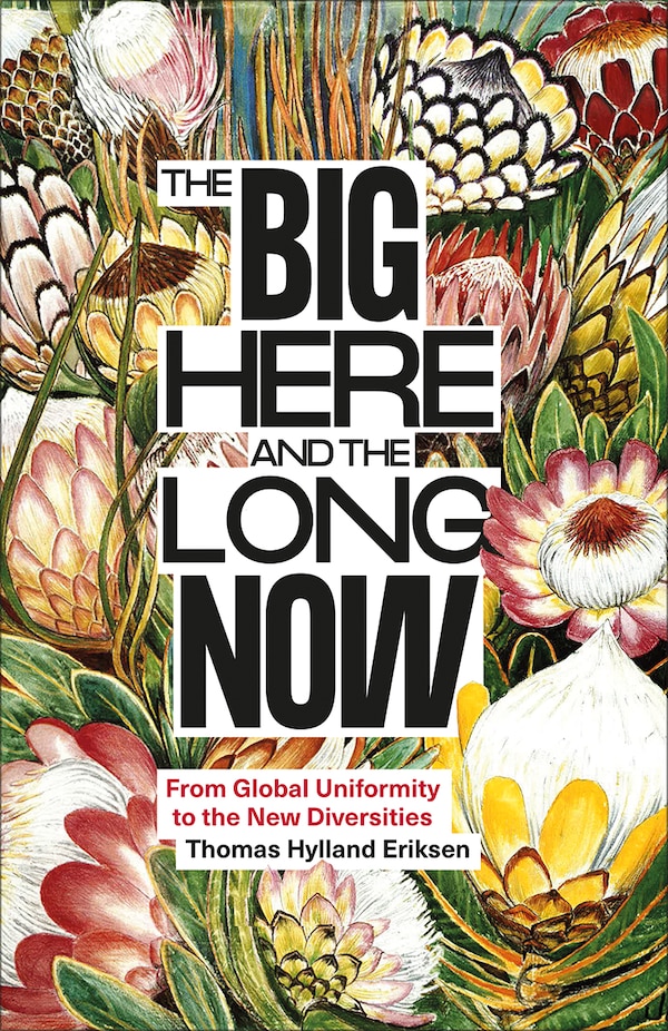 The Big Here and the Long Now by Thomas Hylland Eriksen, Paperback | Indigo Chapters