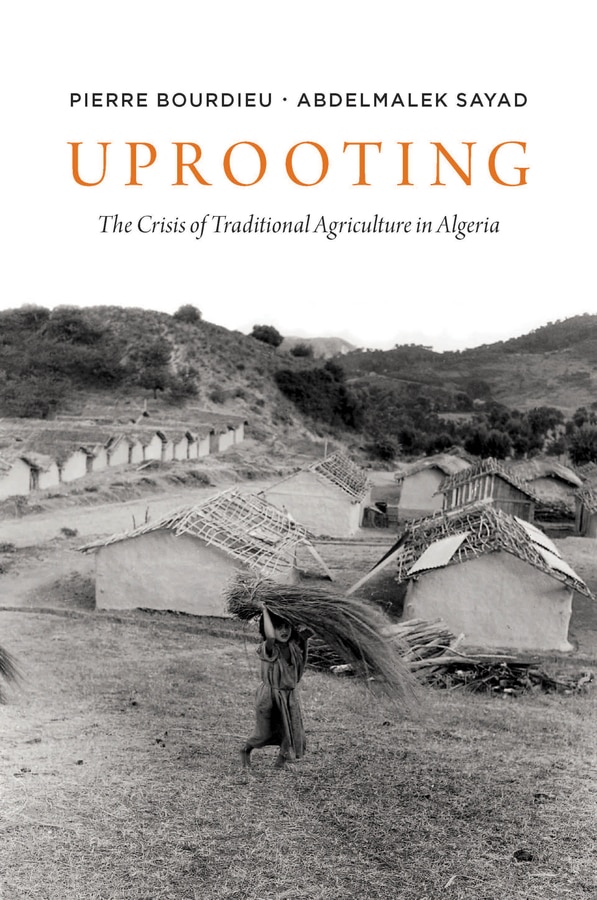 Uprooting by Pierre Bourdieu, Hardcover | Indigo Chapters