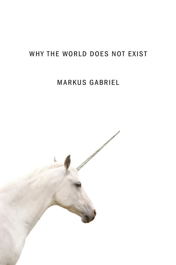 Why the World Does Not Exist by Markus Gabriel, Hardcover | Indigo Chapters