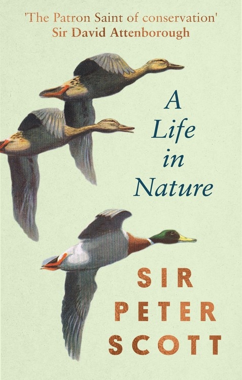 A Life In Nature by Peter Scott, Hardcover | Indigo Chapters