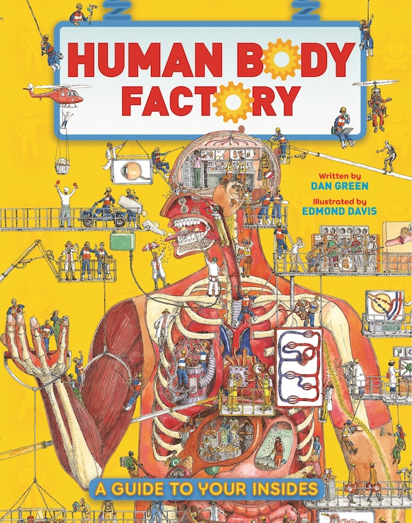 The Human Body Factory by Dan Green, Hardcover | Indigo Chapters