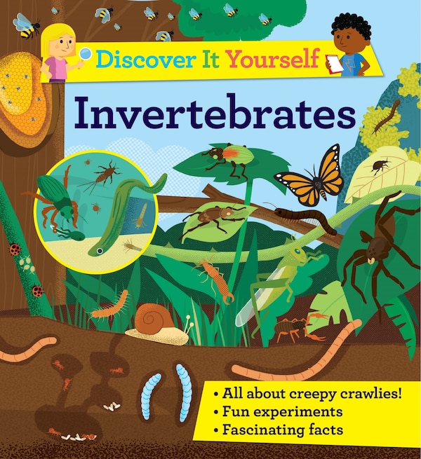 Discover It Yourself: Invertebrates by Sally Morgan, Hardcover | Indigo Chapters