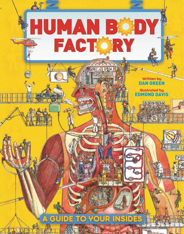 The Human Body Factory by Dan Green, Paperback | Indigo Chapters