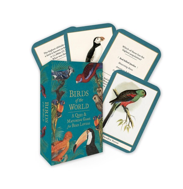 Birds of the World by Pyramid, Paperback | Indigo Chapters