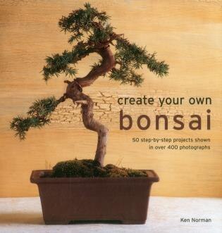 Create Your Own Bonsai by Ken Norman, Hardcover | Indigo Chapters