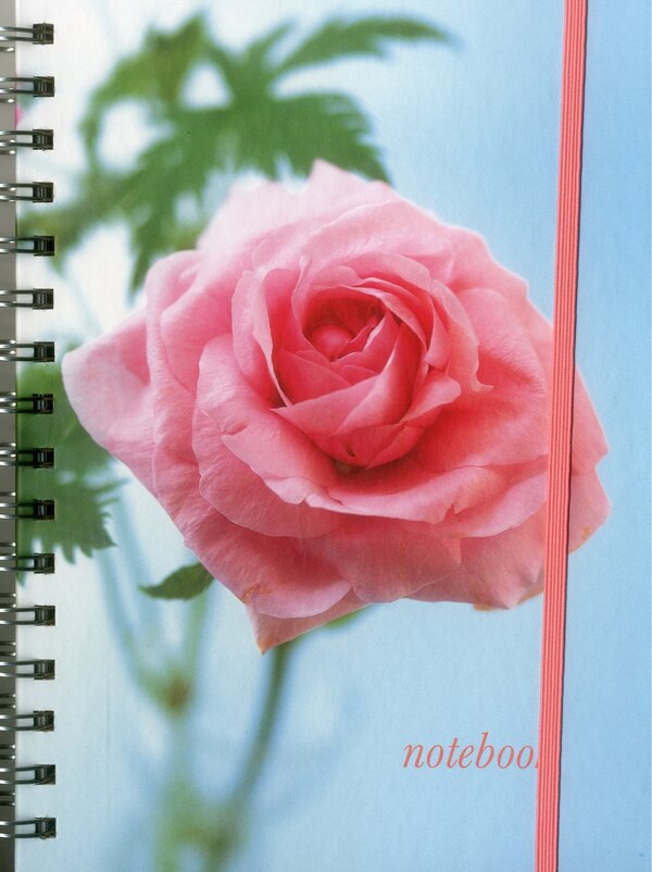 Notebook (Pink Rose) by Peony Press, Spiral Bound | Indigo Chapters