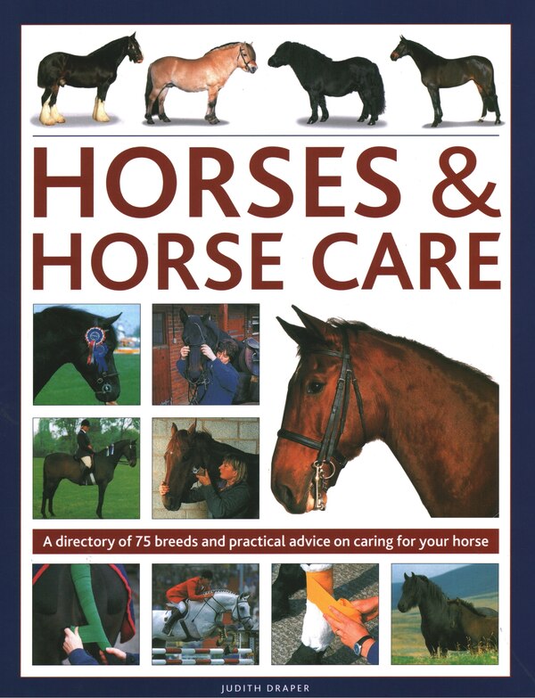 Horses & Horse Care by Sarah Muir, Hardcover | Indigo Chapters