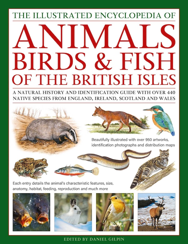 The Animals Birds & Fish of the British Isles Illustrated Encyclopedia of by Daniel Gilpin, Hardcover | Indigo Chapters