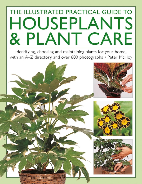 The Houseplants & Plant Care Illustrated Practical Guide to by Peter Mchoy, Hardcover | Indigo Chapters
