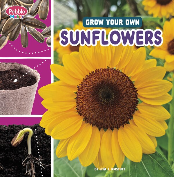 Grow Your Own Sunflowers by Lisa J. Amstutz, Paperback | Indigo Chapters
