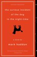 The Curious Incident of the Dog in the Night-Time by Mark Haddon, Reinforced Library Binding | Indigo Chapters