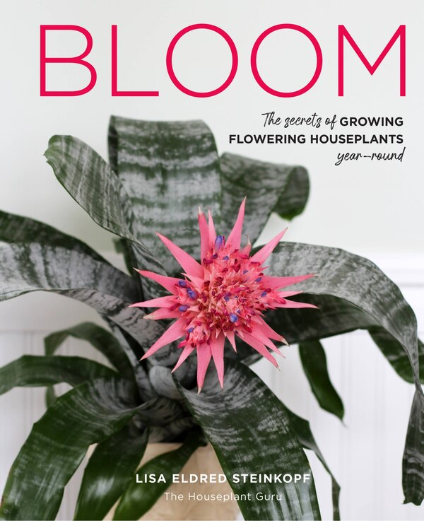 Bloom by Lisa Eldred Steinkopf, Hardcover | Indigo Chapters