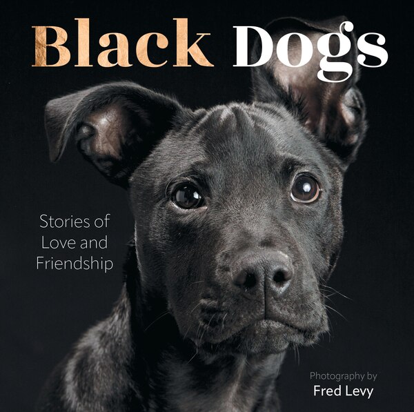 Black Dogs by Fred Levy, Paper over Board | Indigo Chapters