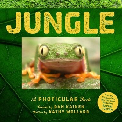 Jungle by Dan Kainen, Hardcover | Indigo Chapters