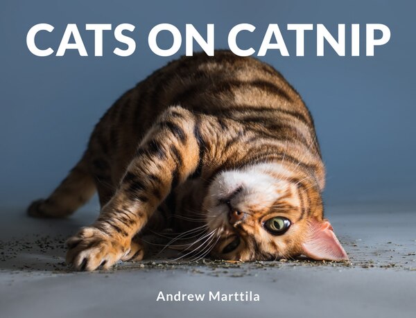 Cats On Catnip by ANDREW MARTTILA, Paper over Board | Indigo Chapters