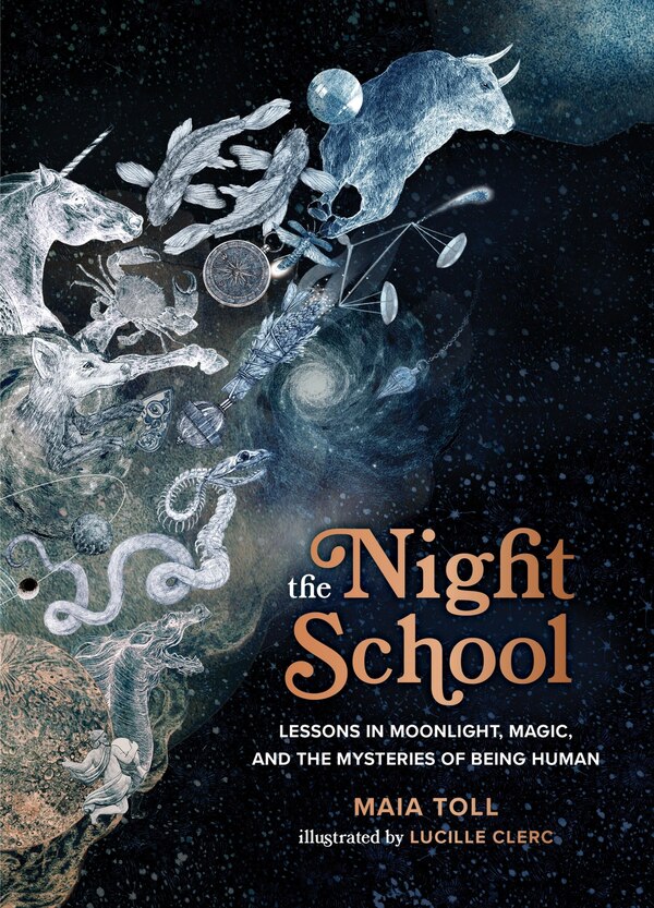 The Night School by Maia Toll, Paper over Board | Indigo Chapters