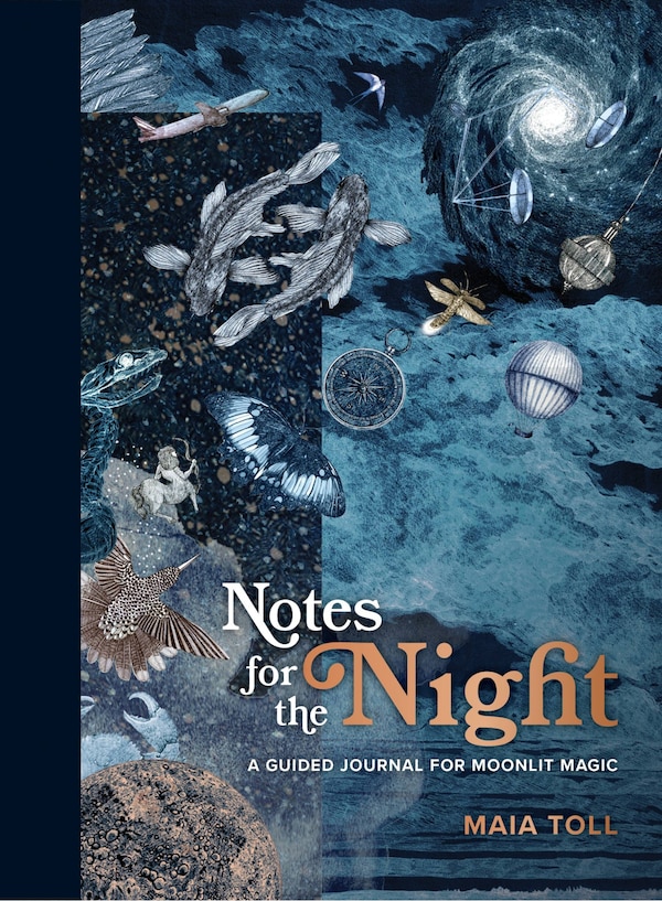 Notes for the Night by Maia Toll, Hardcover | Indigo Chapters