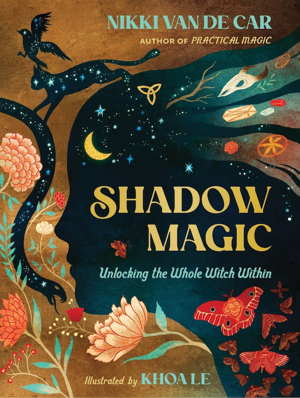 Shadow Magic by Nikki Van De Car, Paper over Board | Indigo Chapters